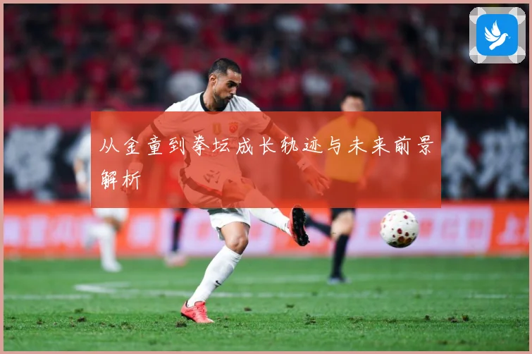 从金童到拳坛成长轨迹与未来前景解析