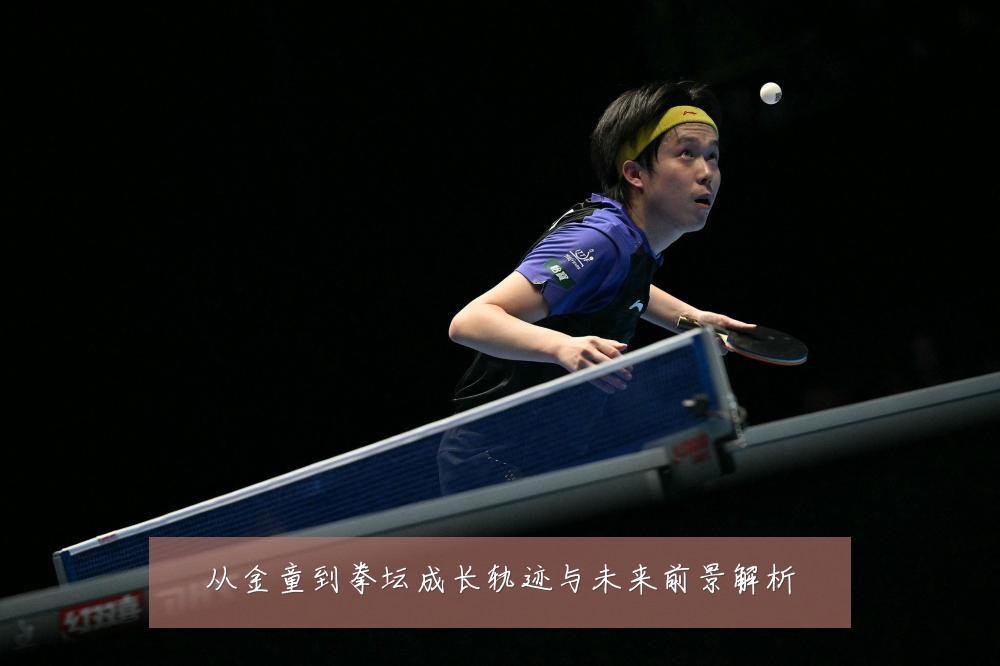 从金童到拳坛成长轨迹与未来前景解析